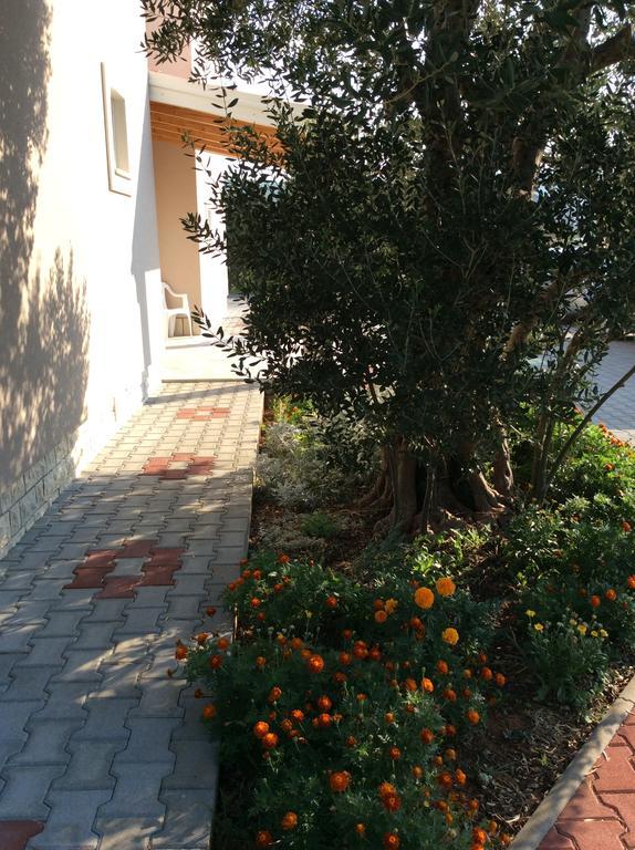 Apartments Franov Bibinje Zewnętrze zdjęcie